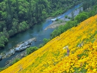 sub-poppy-hill-lunch-rock