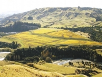 hot-red-hawkes-bay-hillsides