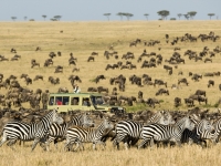 serengeti-national-park_flexible_safaris_