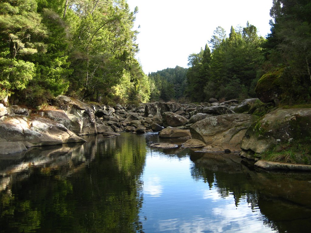 The Wairoa RIver